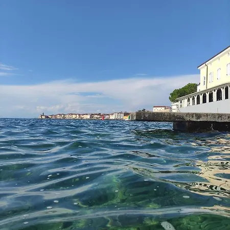 Apartamento Apartma Erik *